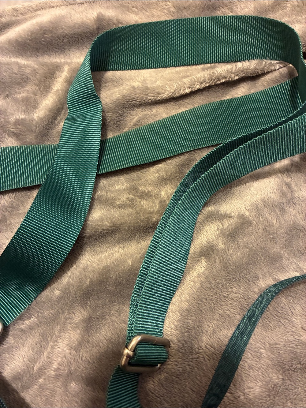 Baggallini Teal Crossbody Bag with Adjustable Strap - Picture 7 of 7